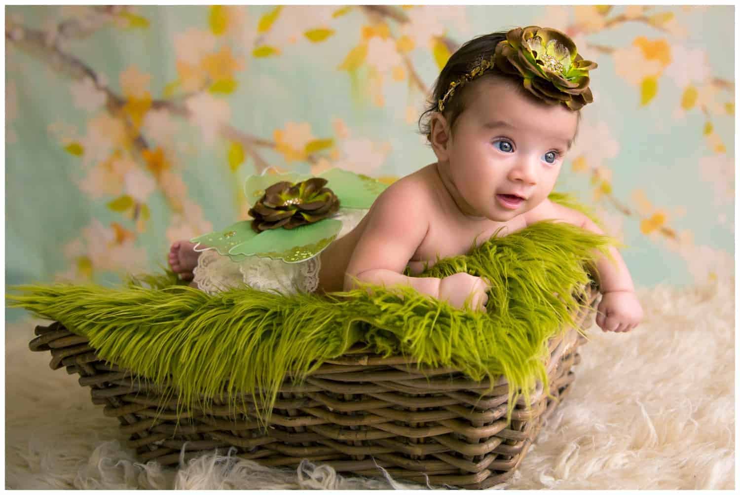 North Virginia Newborn Photographer