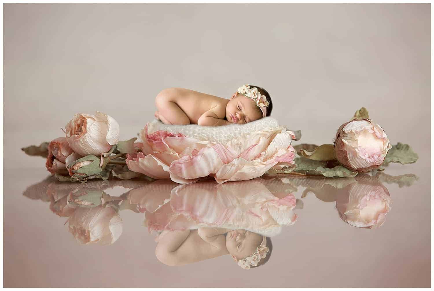 Oakton, VA Newborn Studio Photographer