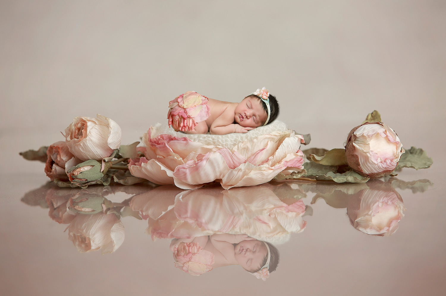 Baby photography, Washington, DC