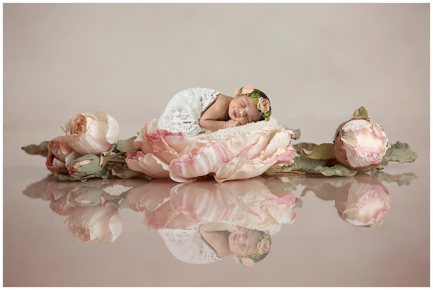 Washington DC Newborn Photographer