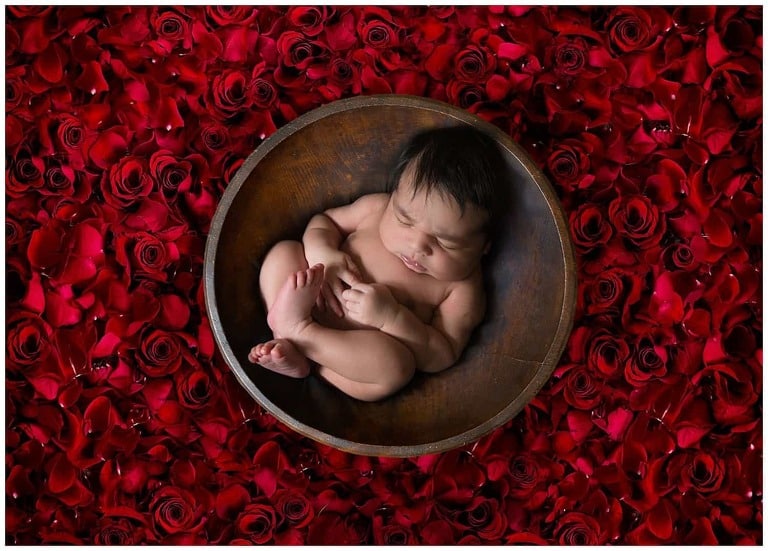 Newborn Photographer in Alexandria, VA