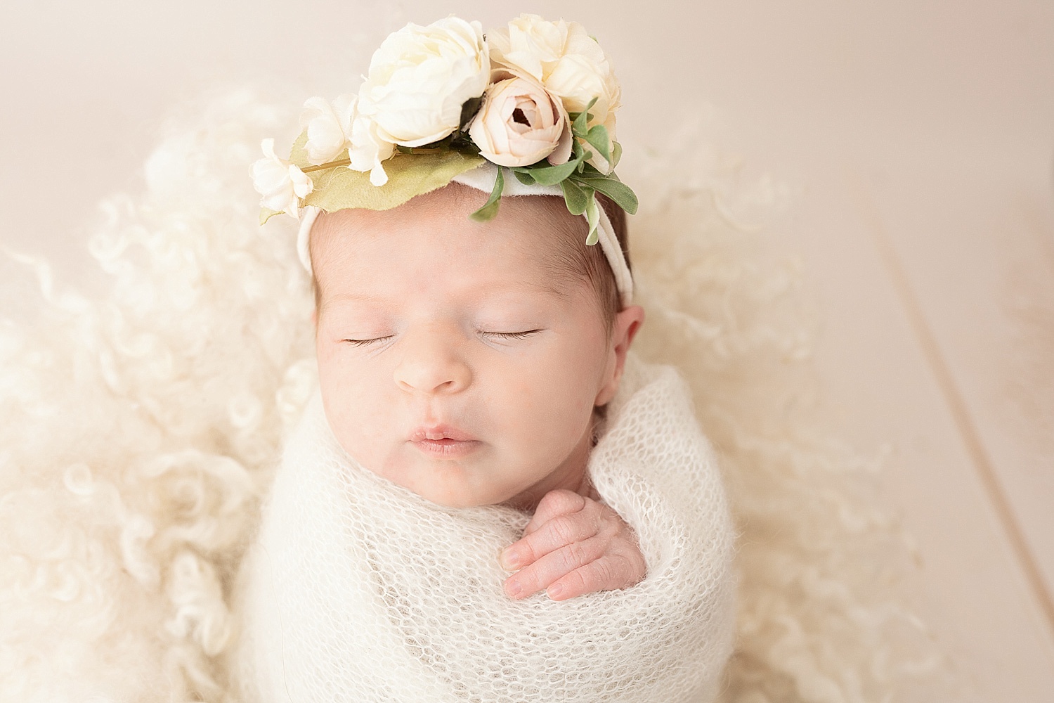 Newborn photography in Alexandria, Virginia