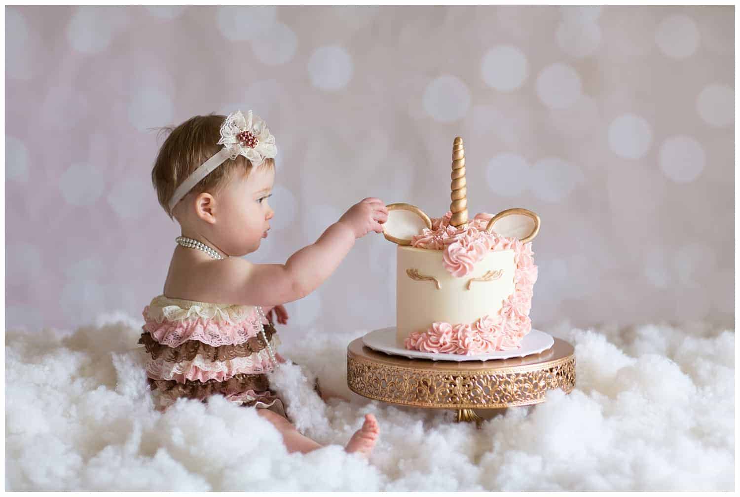 Virginia First Birthday Photographer
