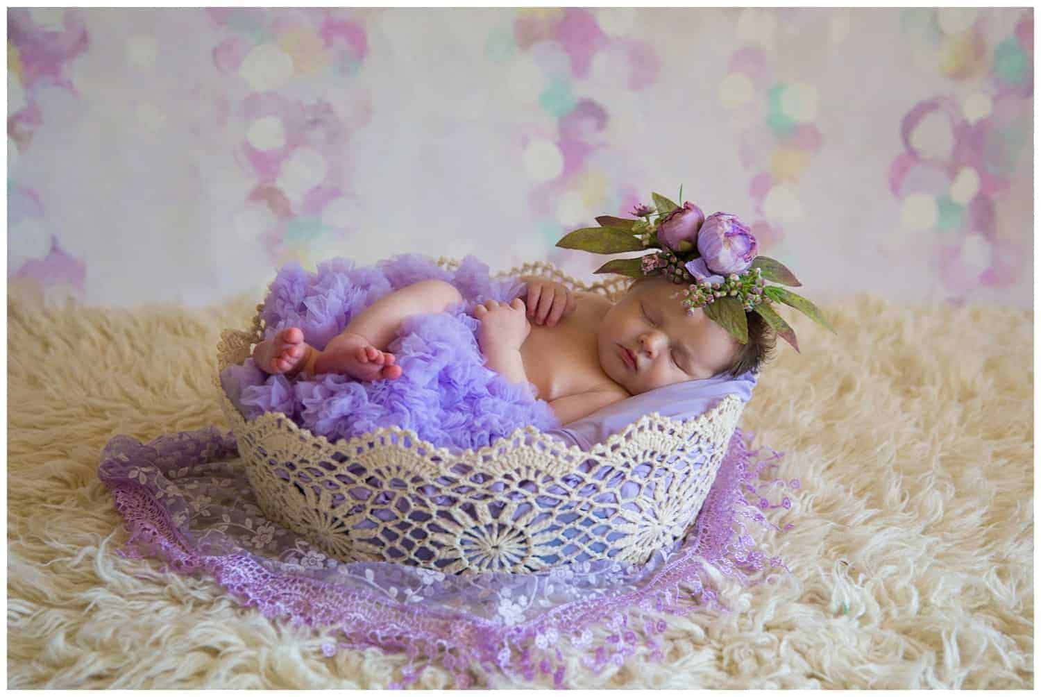 Oakton Newborn Studio Photographer