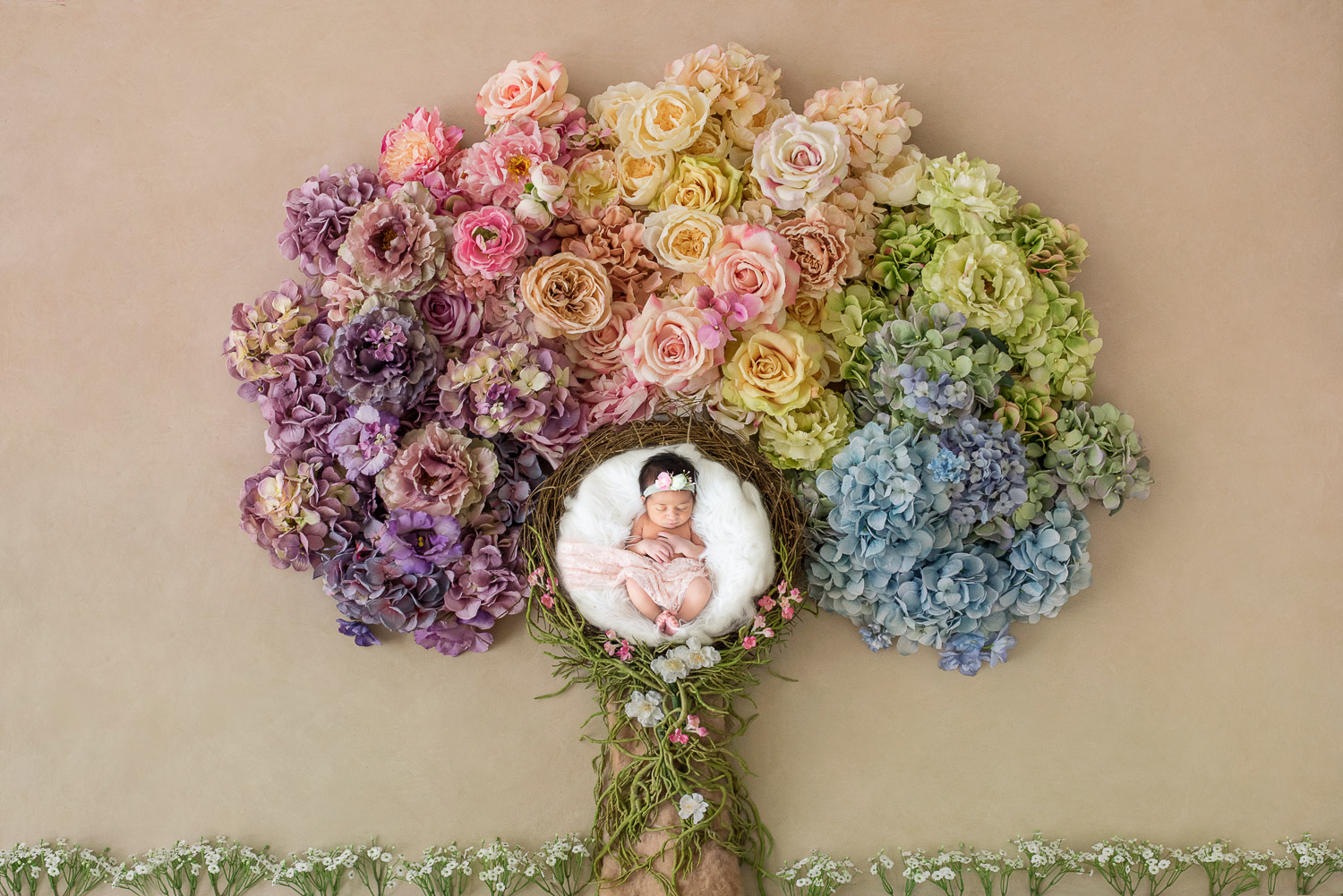 Newborn Photographer Virginia