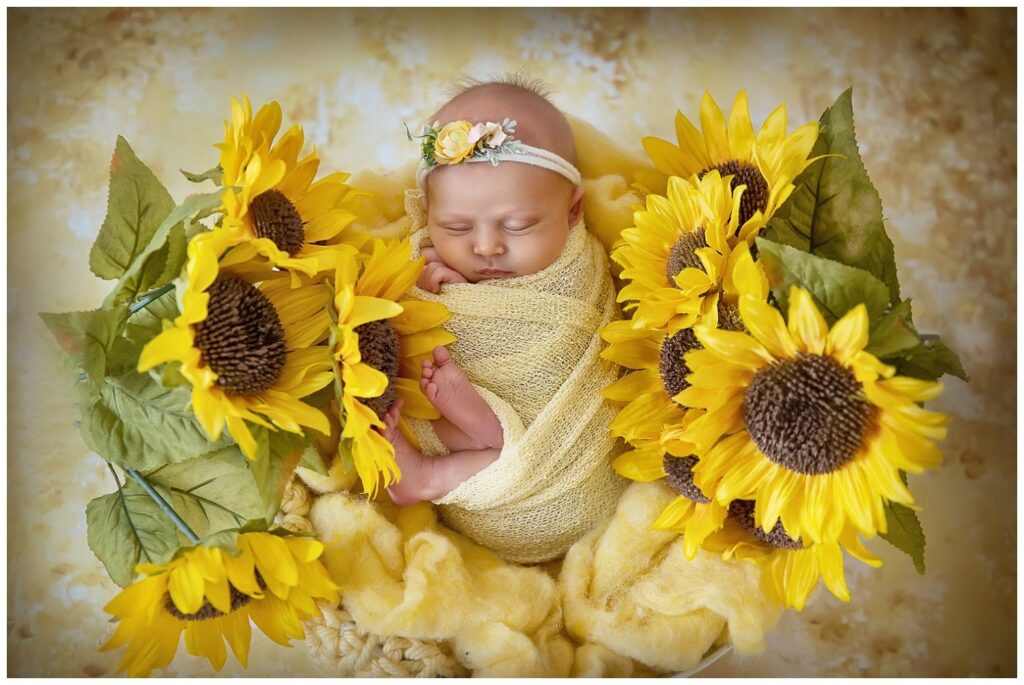 Newborn Photography in Washington DC