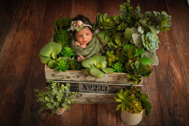 Baby Photographer in Virginia
