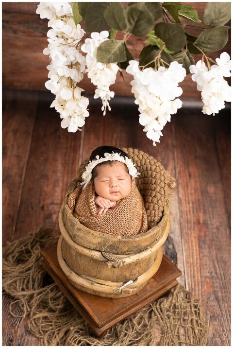  Christmas Baby Session