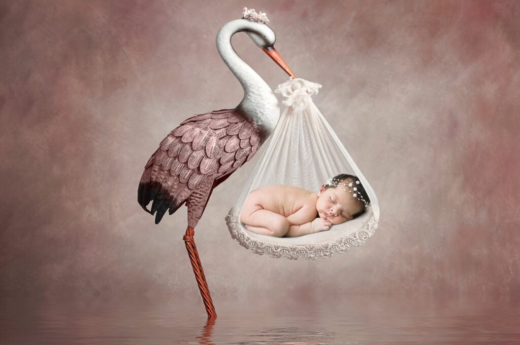 5 Adorable Newborn Twin Poses | Washington DC Newborn Photographer