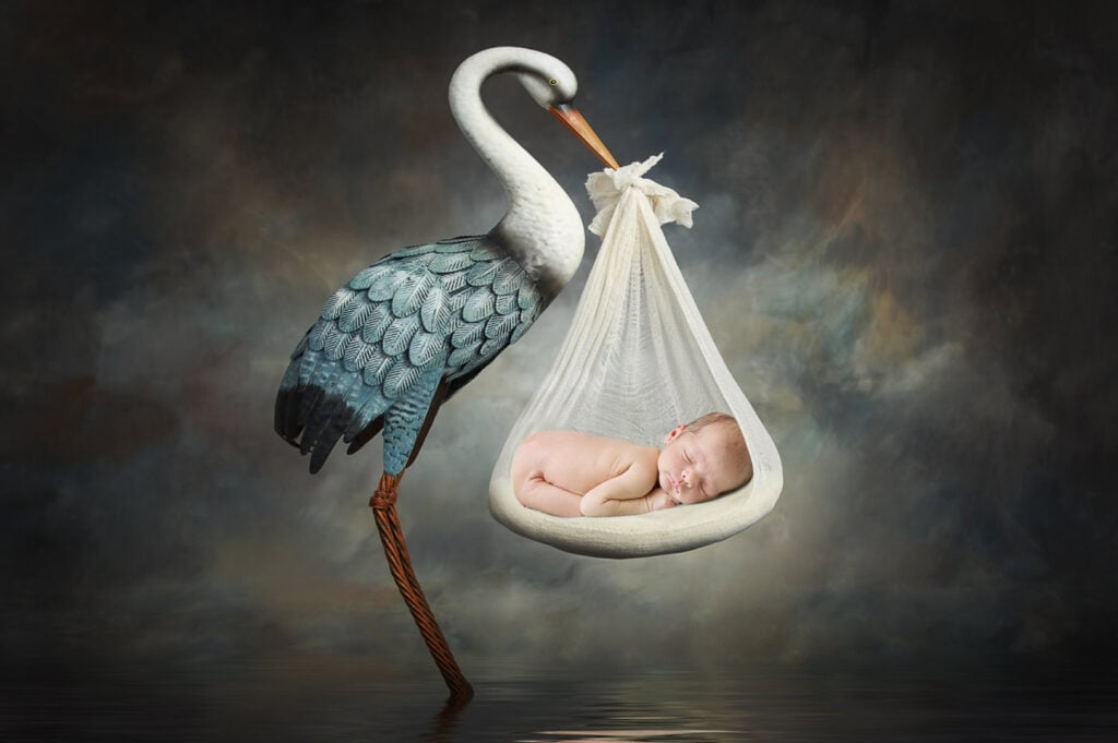 5 Adorable Newborn Twin Poses | Washington DC Newborn Photographer