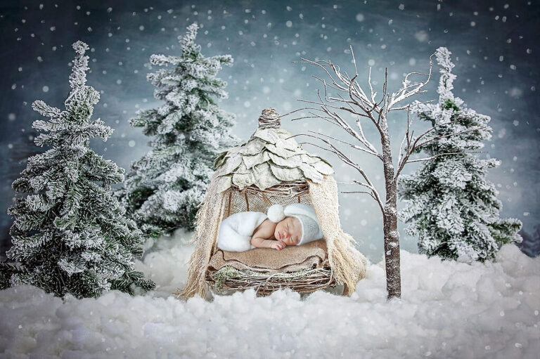 winter themed newborn photos