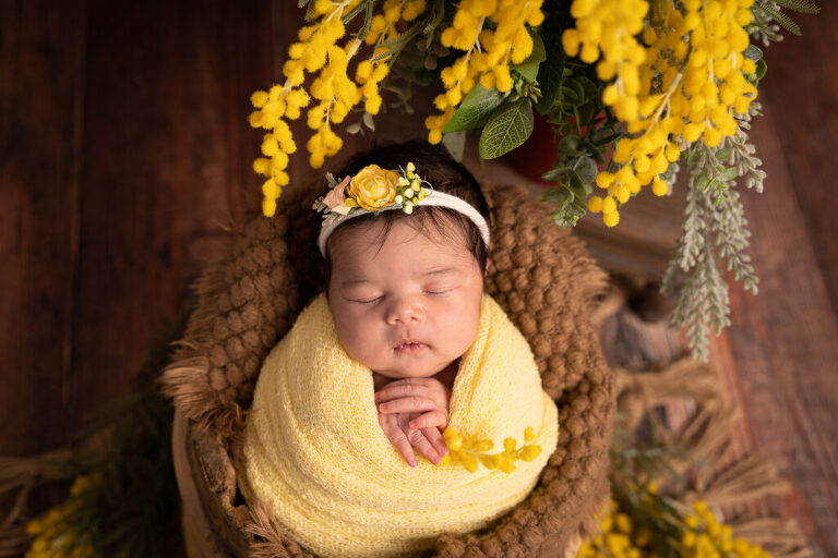 Silver Spring, Maryland Newborn Photographer