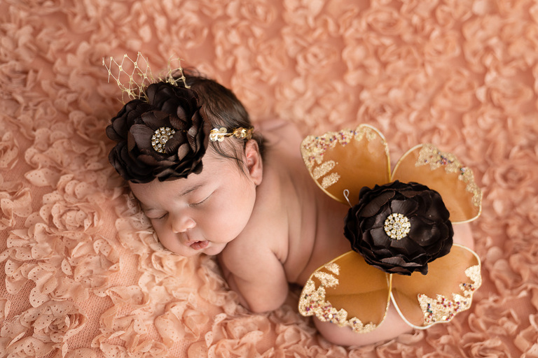 Newborn Photography in Arlington, VA