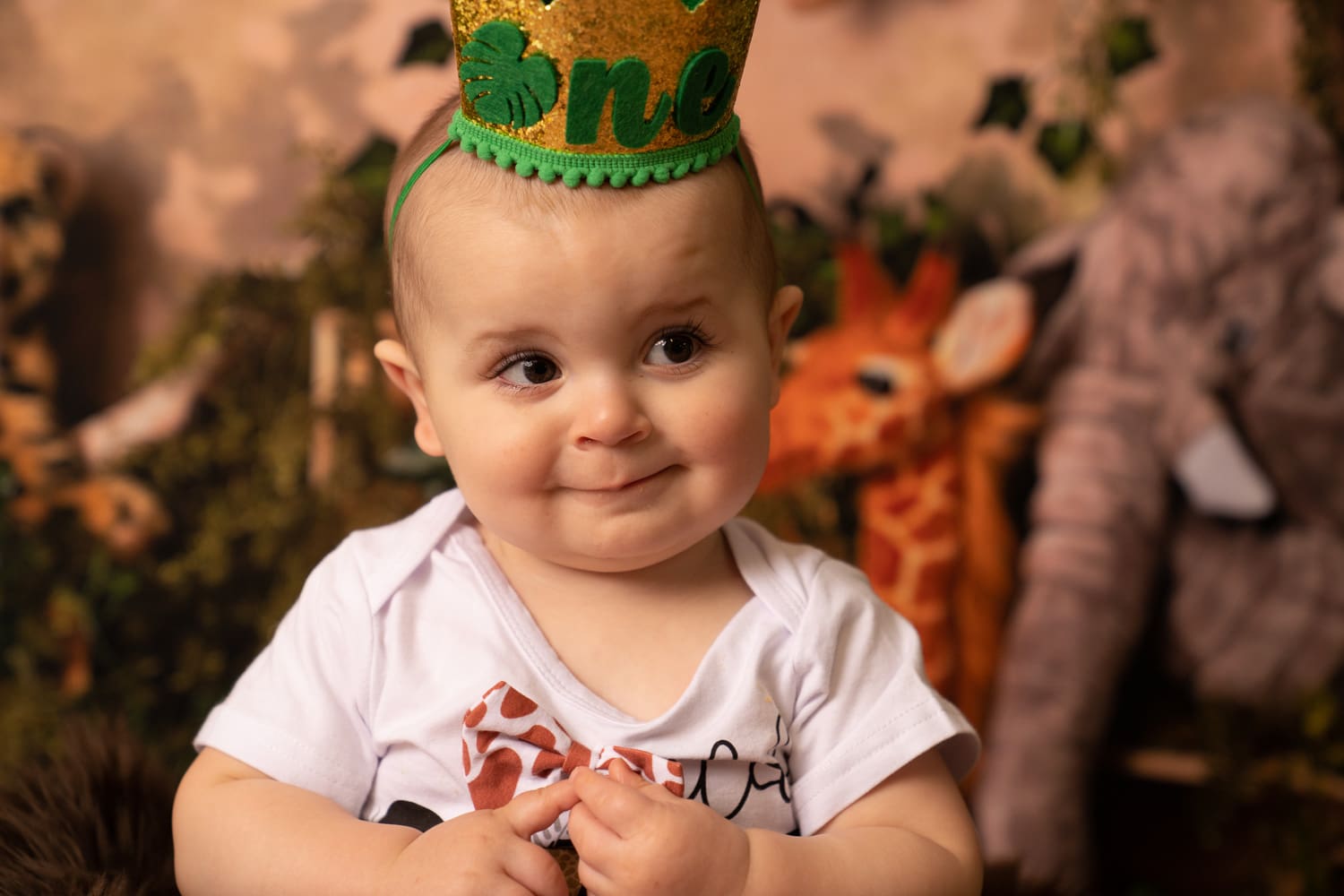 Wild One Jungle Theme Cake Smash Photography, Washington D.C.