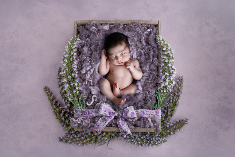 newborn photos worth the price