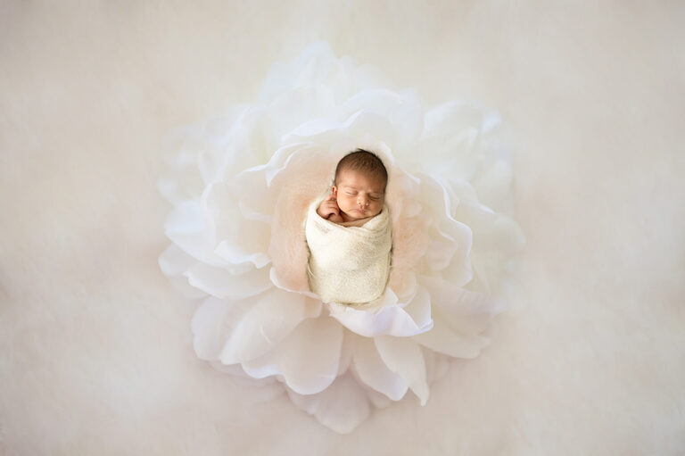 Milestone baby photography session