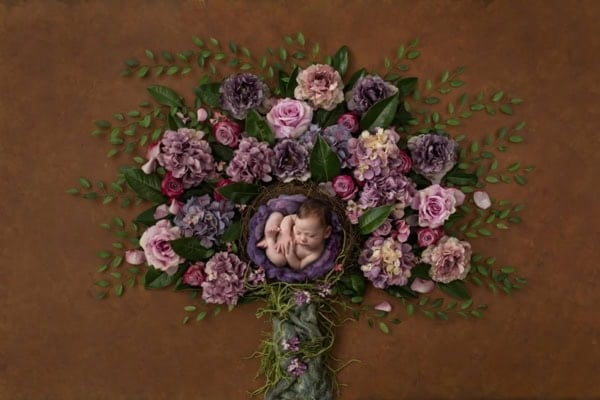 Washington DC newborn photographer captures a stunning floral-themed newborn portrait with a baby peacefully sleeping in a purple flower arrangement.