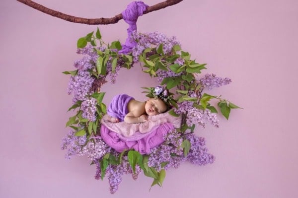 Baby girl wrapped in purple sleeping on lilac flower swing &mdash; Washington DC newborn photography.